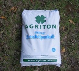 Zeeschelpenkalk 1
